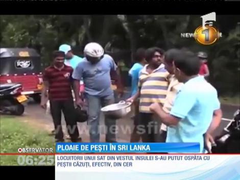 Ploaie de peşti în Sri Lanka