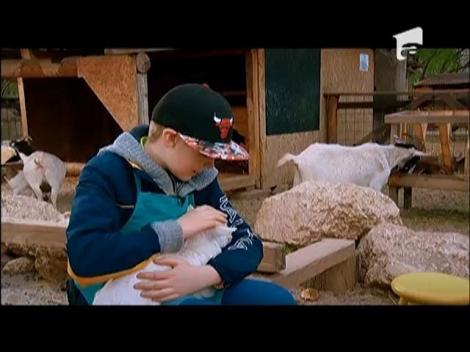 Concurenții din echipa lui Vizante se distrează printre animale! Juratul i-a dus la o fermă!