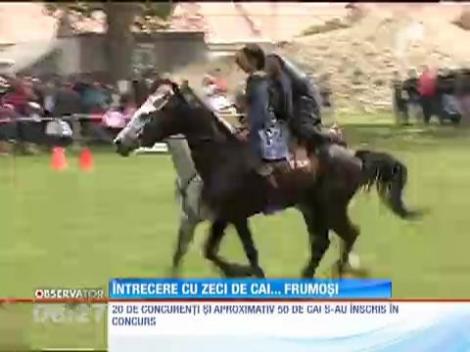 Zeci de vizitii şi jochei s-au întrecut în Harghita la prima competiţie hipică din acest sezon