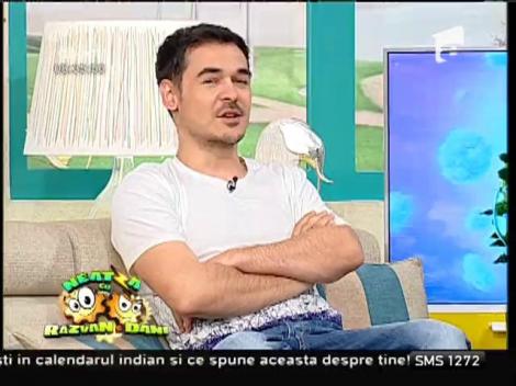 Dreamies - atractie irezistibila pentru pisici!