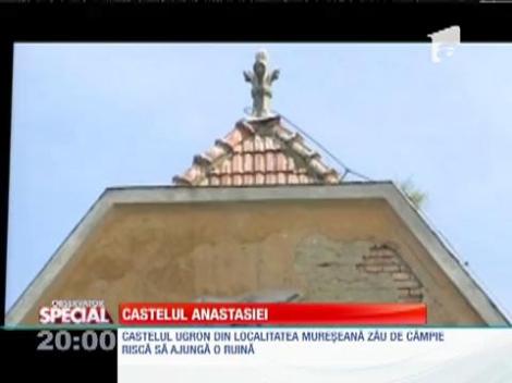 Castelul Anastasiei la Zau de Campie