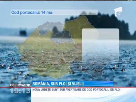 Furtună violentă în Bucureşti! Copac căzut peste două mașini