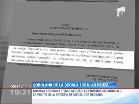 Zeci de locatari, terorizaţi de şobolanii care umblă liberi printre tone de gunoi la doi paşi de o şcoală generală