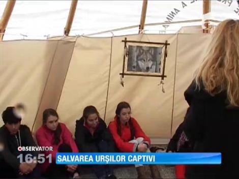 Salvarea urşilor captivi