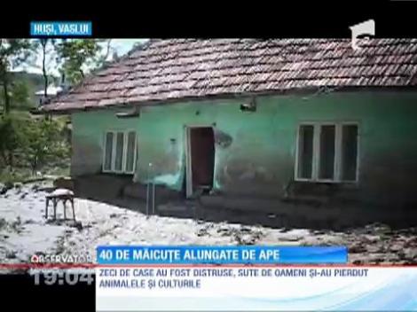 40 de măicuțe alungate de ape