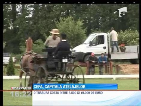 Cefa, capitala atelajelor