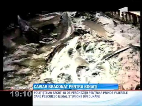 Caviar braconat din Deltă pentru bogați