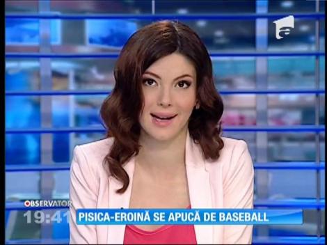 Pisica-eroina se apucă de baseball