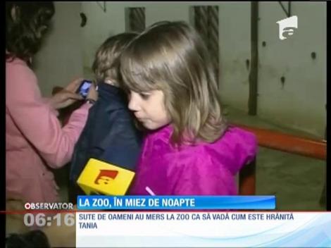 Tania, elefantul de la Zoo Târgu Mureş, a avut oaspeţi la cină