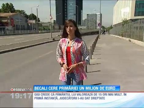 Gigi Becali cere despagubiri de un milion de euro de la Primăria Capitalei, pentru un teren expropriat