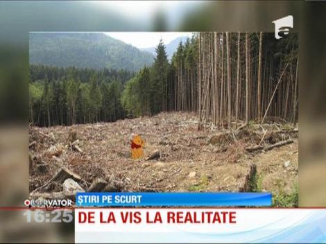 Personaje Disney în lumea reală