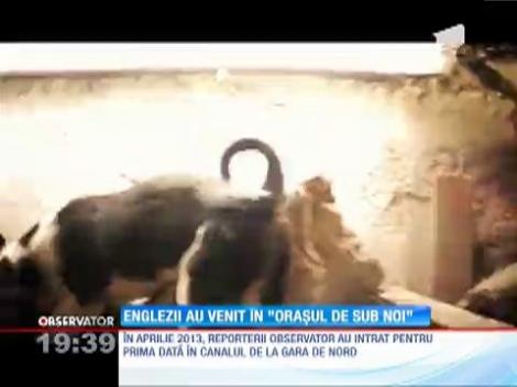 Britanicii au  venit în "Oraşul de sub noi"