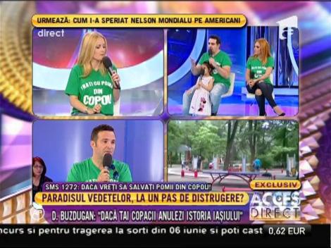 Arborii din Parcul Expoziţiei Copou, marcaţi pentru a fi tăiaţi