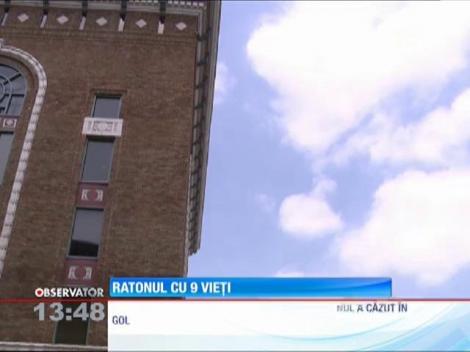 Operaţiune de salvare eşuată