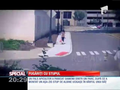 Farsă înțepătoare: Albinele ucigaşe au făcut ravagii într-un parc