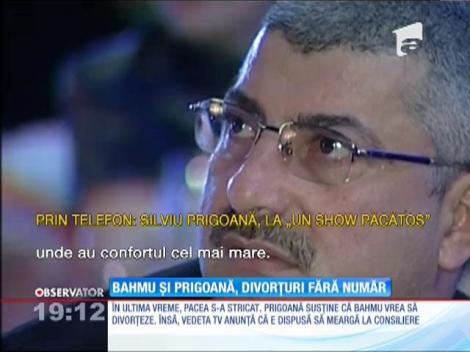 Silviu Prigoană a cerut ca protecţia copilului să facă o anchetă la el acasă