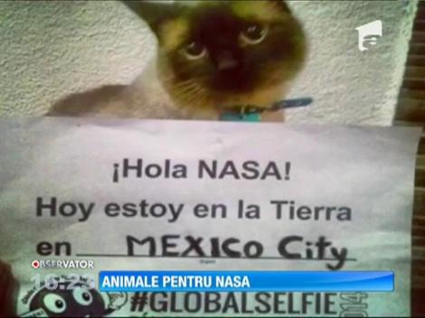 Animale pentru NASA