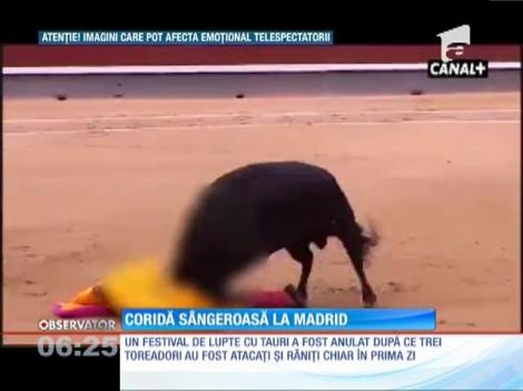 Doi toreadori au fost grav răniţi la un festival tradiţional din Madrid