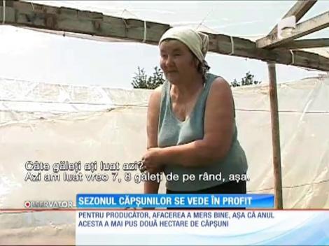 Căpșunile, o adevărată afacere