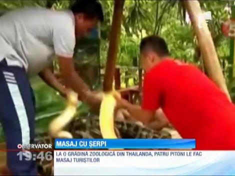 Masaj cu pitoni la o grădină zoologică din Thailanda