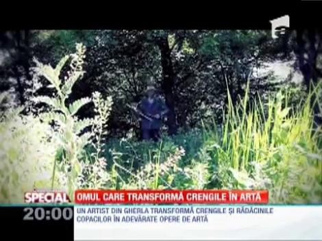 SPECIAL! Omul care transformă crengile în artă