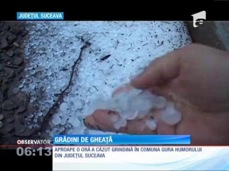 România, lovită de furia naturii