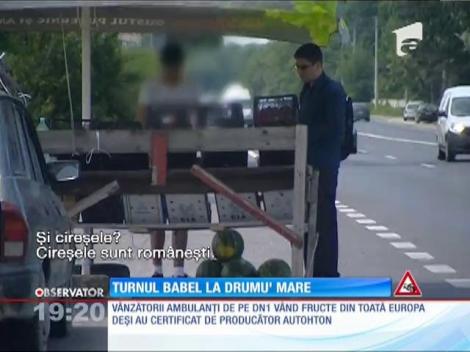 La tarabele de pe DN 1 e ca la supermarket!