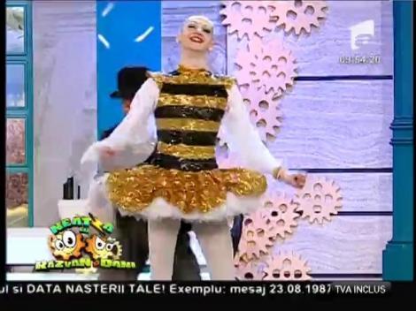 Circul Globus, spectacol concurs