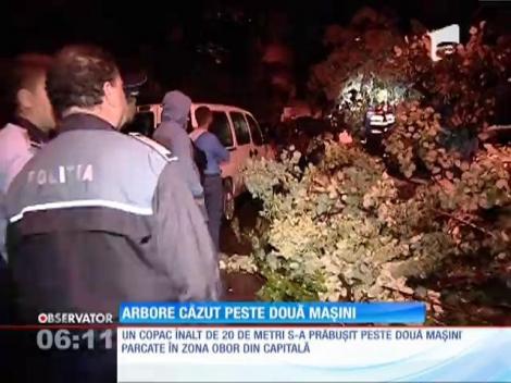 Mașini distruse de un copac dărâmat de furtuna din Capitală