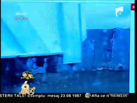 Smiley News: Ghepardul, un cadou potrivit de 1 Iunie pentru copilul tău