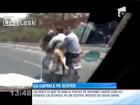 Cu caprele pe scuter