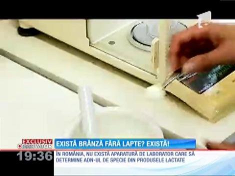 Campania "Otrava din mâncare": Brânză care nu conţine nici urmă de lapte