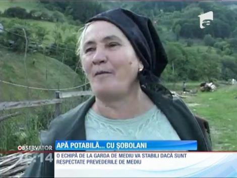 O localitate bistriţeană este alimentată cu apă dintr-un bazin plin cu gunoaie şi şobolani şi acoperit cu rugină