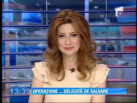 Un bărbat a resuscitat un pui de veveriţă