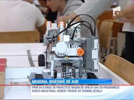 Meseriaşii buni şi ieftini, o specie pe cale de dispariţie