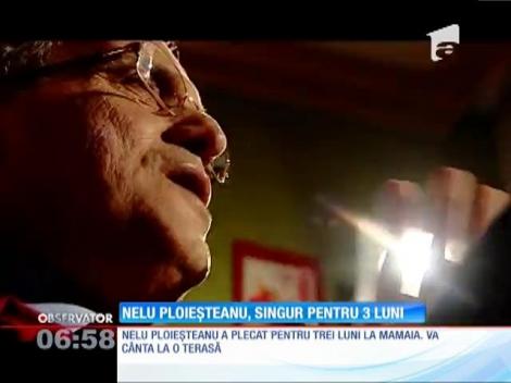 Nelu Ploieşteanu, singur pentru 3 luni
