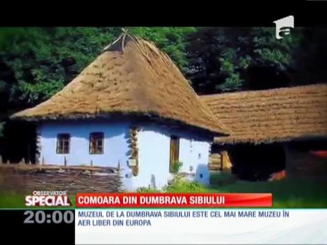 SPECIAL! Comoara din Dumbrava Sibiului