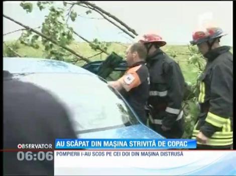 Mașină strivită de un copac pe un drum din Sibiu