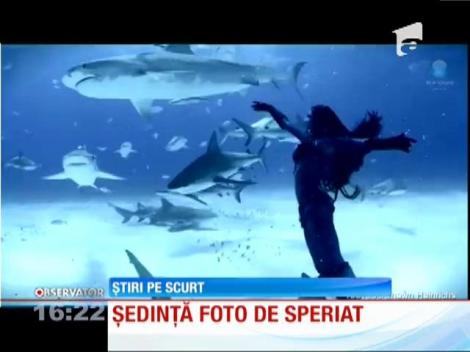 Şedinţă foto printre rechini