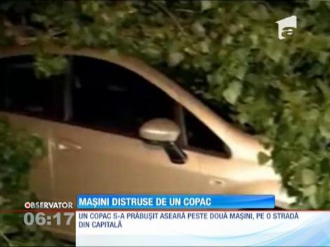 Un copac s-a prăbuşit peste două maşini, în București