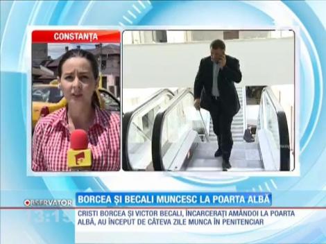 Cristi Borcea şi Victor Becali muncesc la Poarta Albă