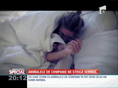 SPECIAL! Animalele de companie ne strică somnul