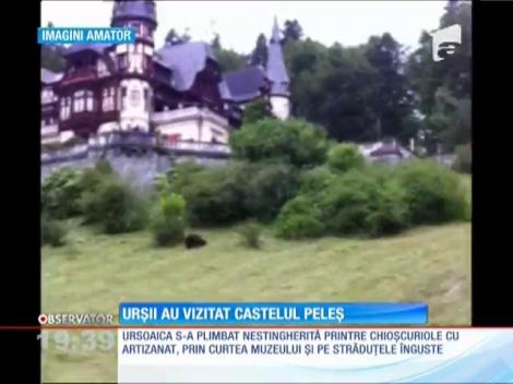 Palatul Peleş a avut astăzi vizitatori mai neobişnuiţi
