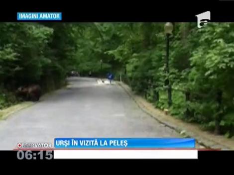 UPDATE / Palatul Peleş a avut astăzi vizitatori mai neobişnuiţi