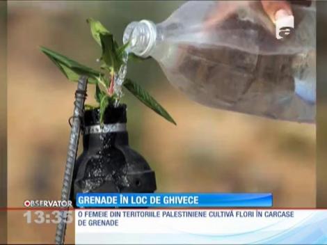 Grenade în loc de ghivece