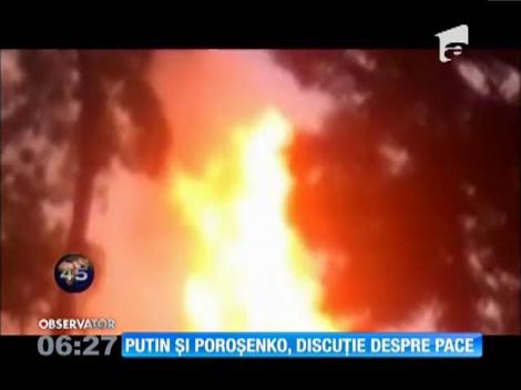 Putin şi Poroşenko, discuţii de pace