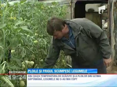 Ploaia şi frigul ne scumpesc legumele