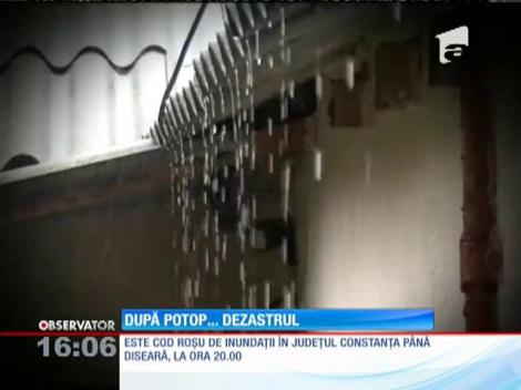 Ploile torenţiale au făcut ravagii în judeţul Constanţa