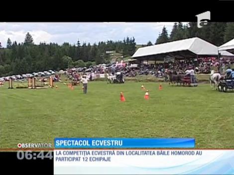 Întrecerea trăsurilor din Harghita