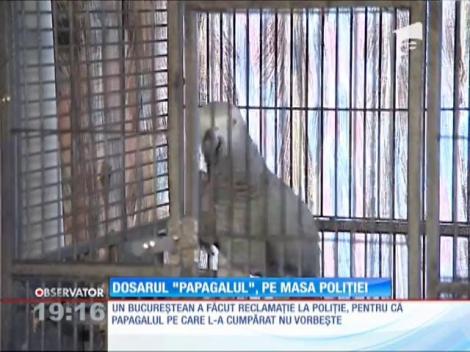 Vânzătoare de papagali acuzată de înşelăciune